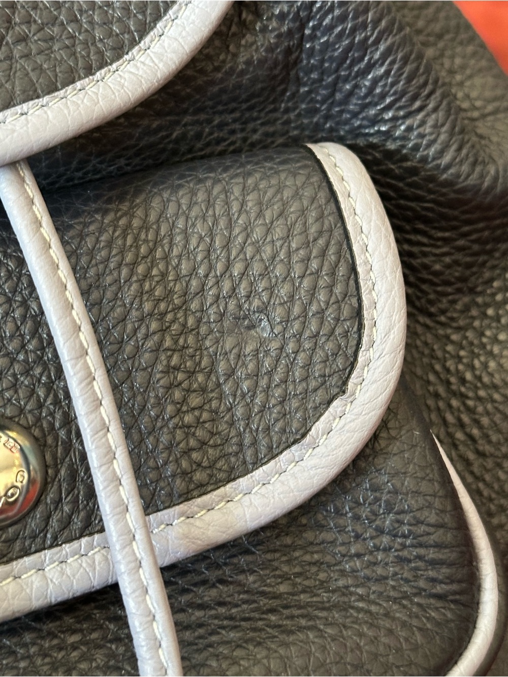 Coach Backpack - Mini - Picture 4 of 7